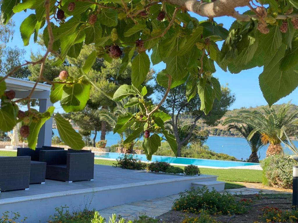 Villa Anthia Порто Хели Екстериор снимка